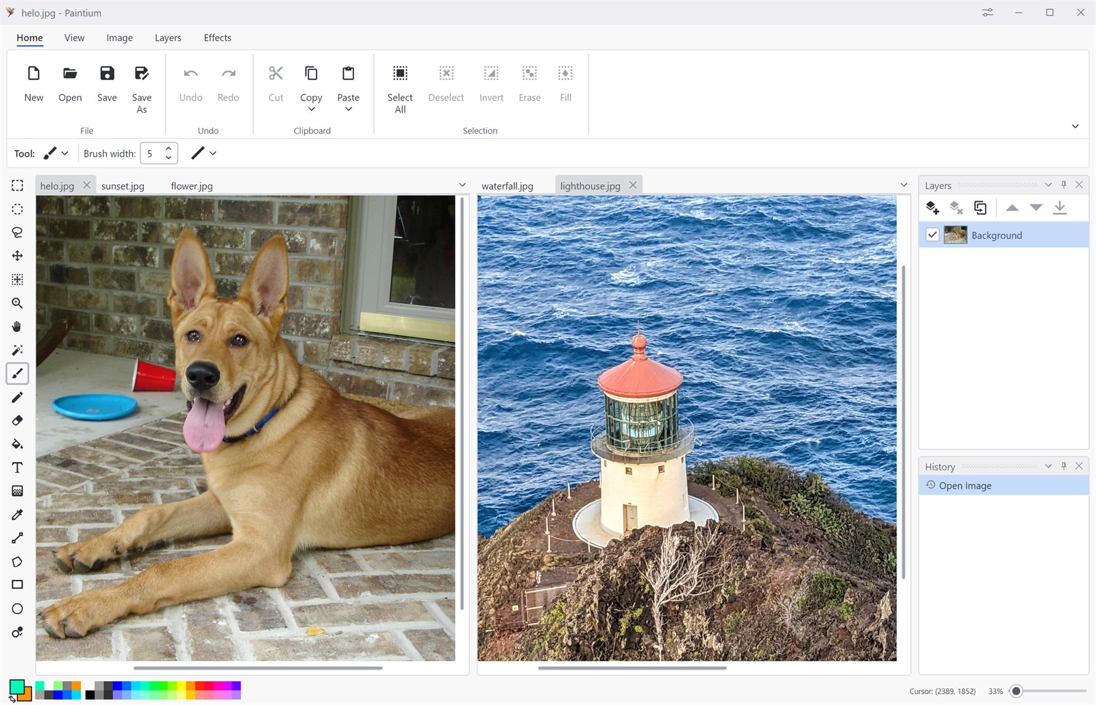 The Paintium main window editing a photo, with a second image open in a background tab, ribbon, toolbox, and docked layers and history panes